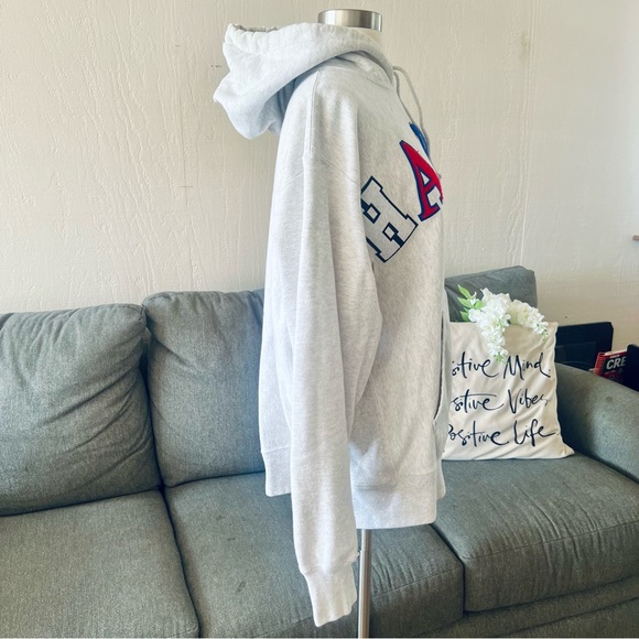 Champion Gray Old English Logo Hoodie - Picture 9 of 14